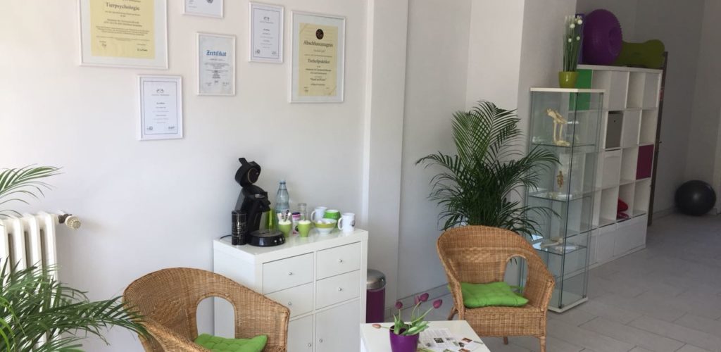 Praxisrundgang Tierphysio Oberhausen Foto 09