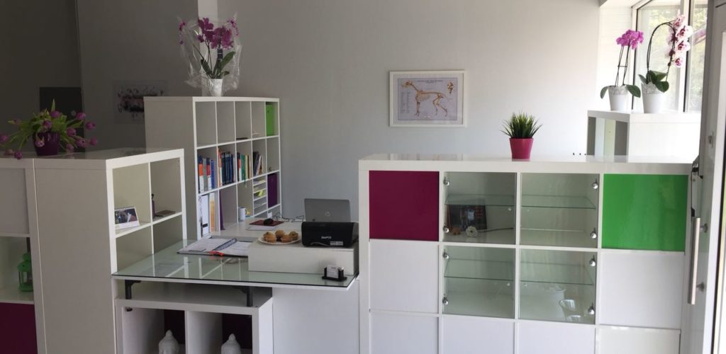 Praxisrundgang Tierphysio Oberhausen Foto 01