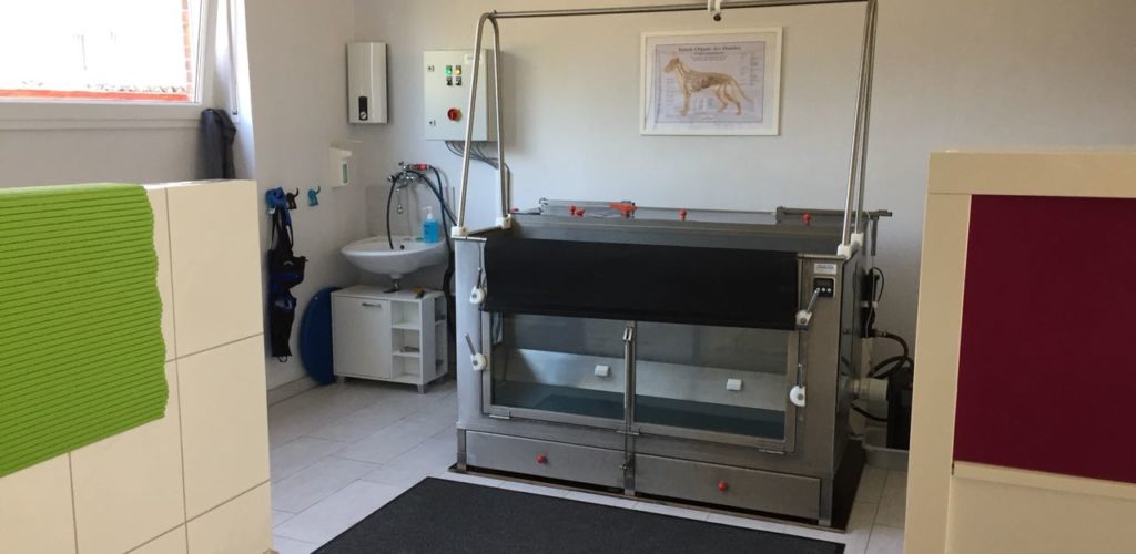 Praxisrundgang Tierphysio Oberhausen Foto 08