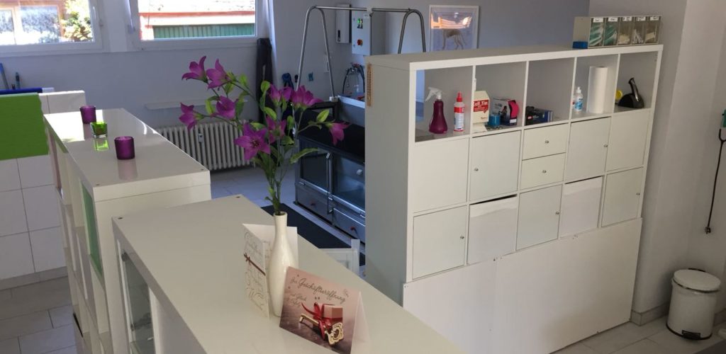 Praxisrundgang Tierphysio Oberhausen Foto 12