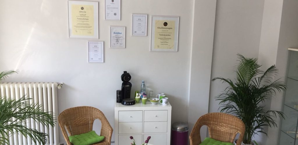 Praxisrundgang Tierphysio Oberhausen Foto 13