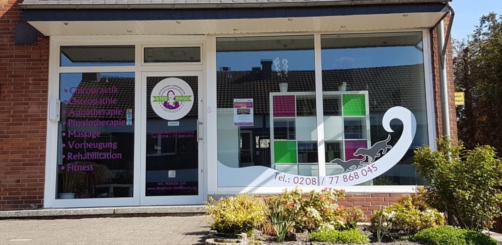 Praxisrundgang Tierphysio Oberhausen Foto 15