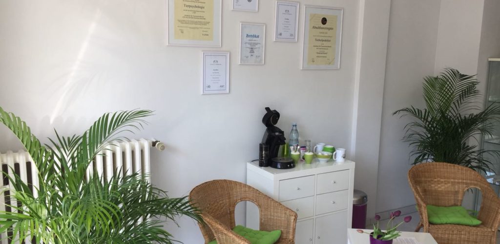 Praxisrundgang Tierphysio Oberhausen Foto 17